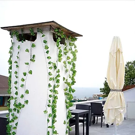 Hotel Ravi